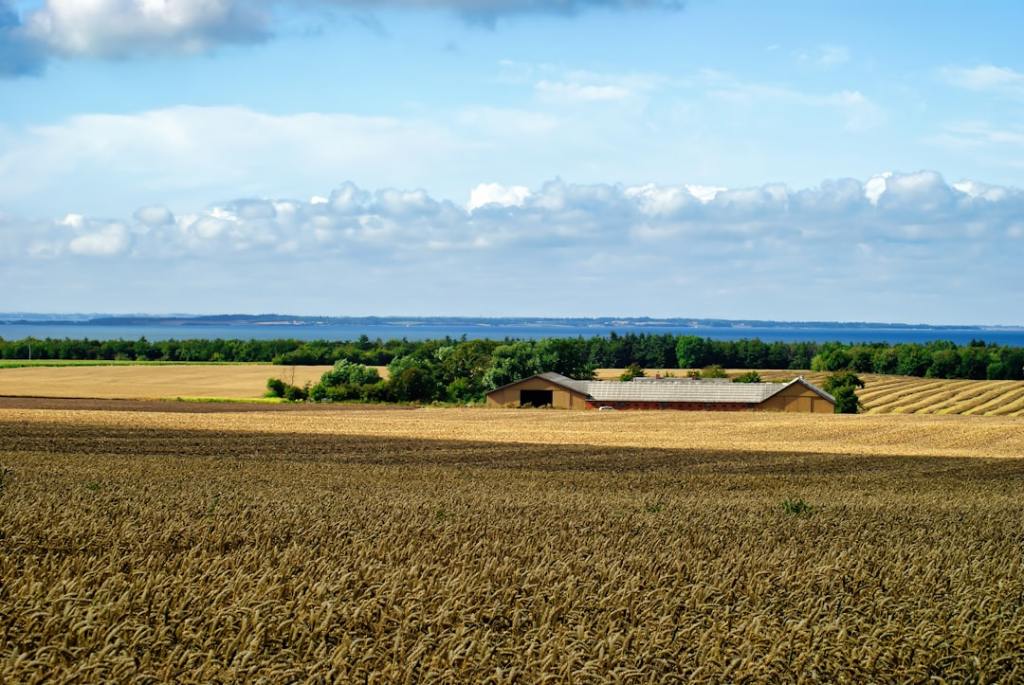 Triplicó ganancias: Molinos Agro cierra año récord