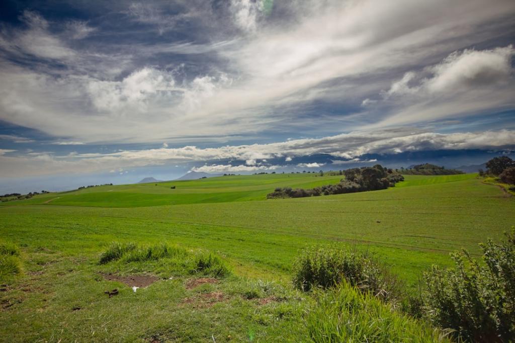 Argentina tendrá el único avión agrícola del mundo que funciona sin&nbsp;nafta